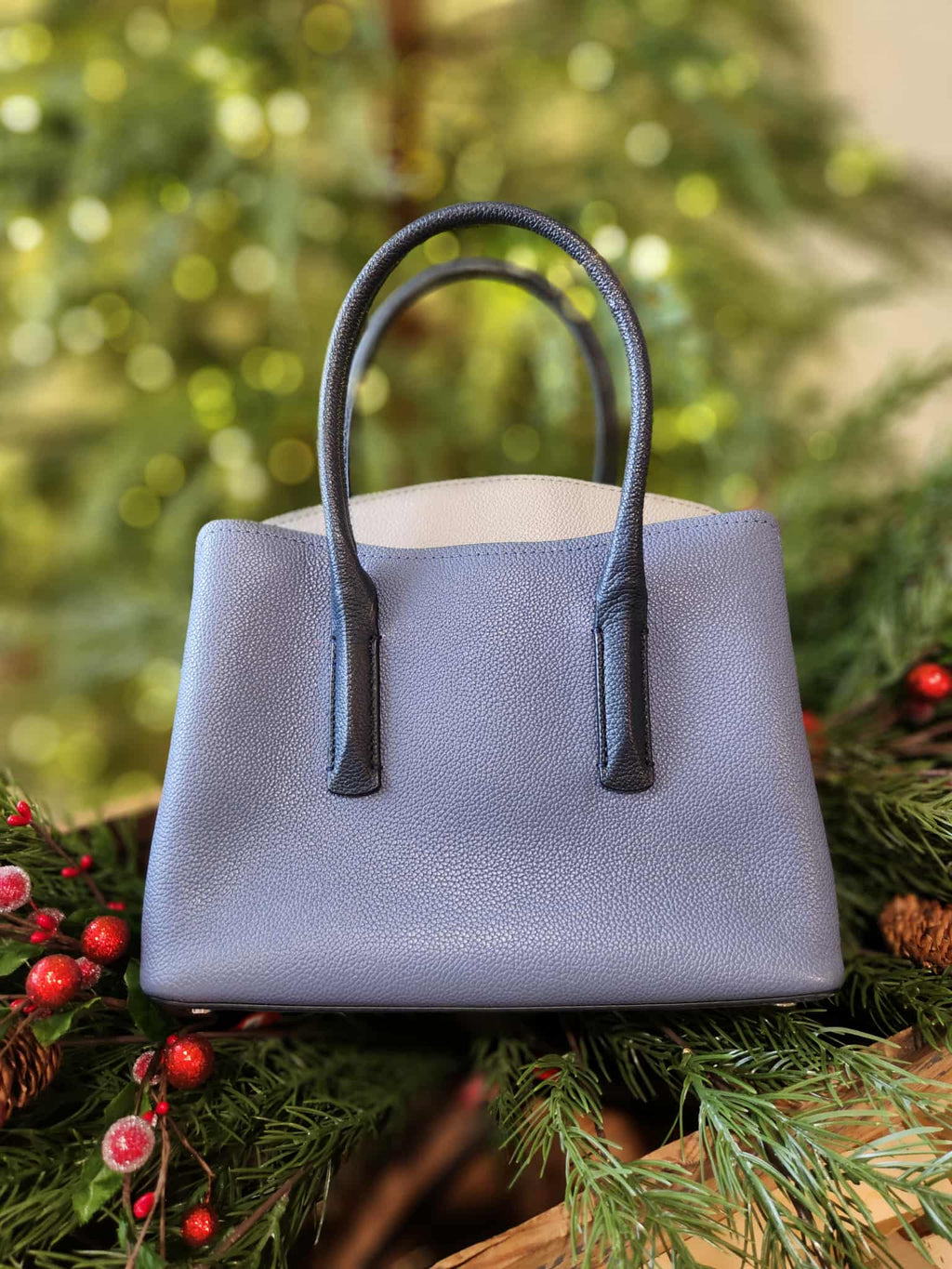 Kate Spade Lady Handbag